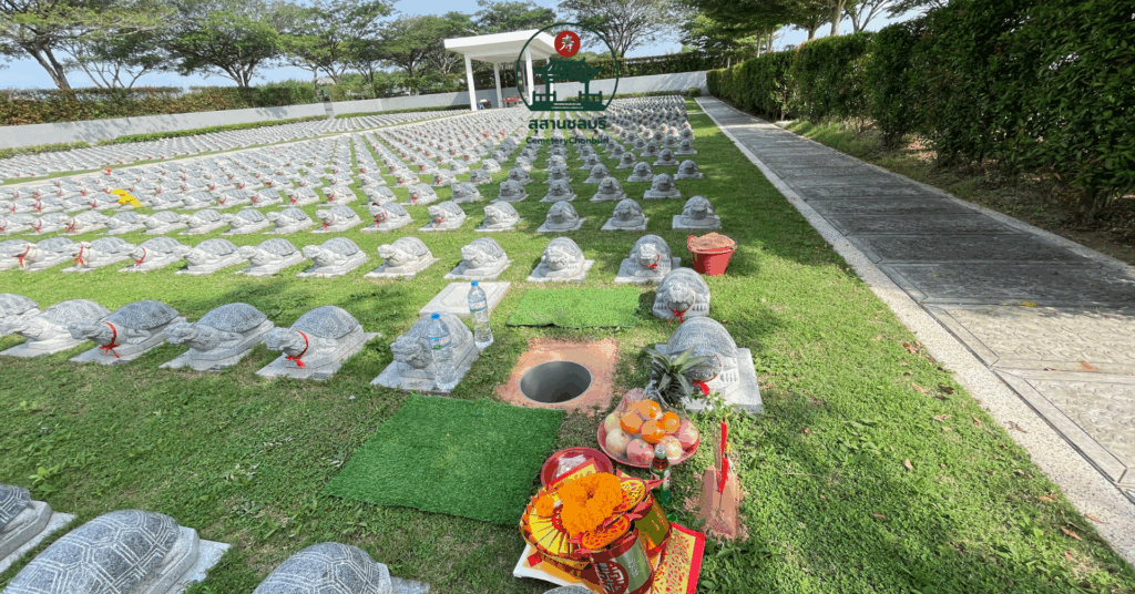 แซกี Sheng Ji (เต่ามังกร) เสริมดวงตามหลักฮวงจุ้ย – บ้านบึง ชลบุรี