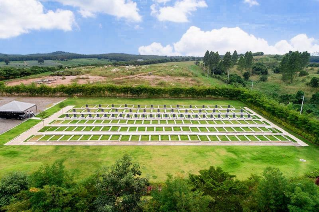 แปลงฝัง โซนดี