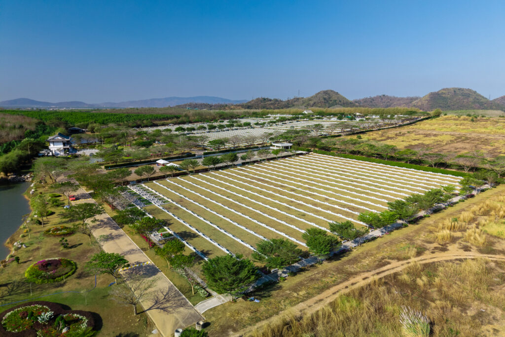 แปลงฝังโซนบี